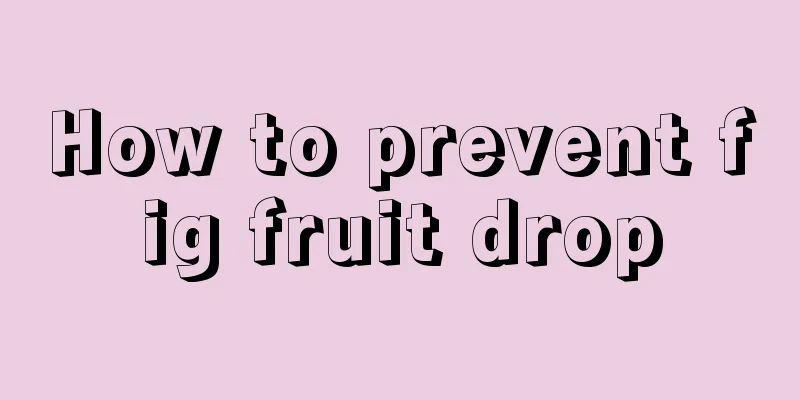 How to prevent fig fruit drop