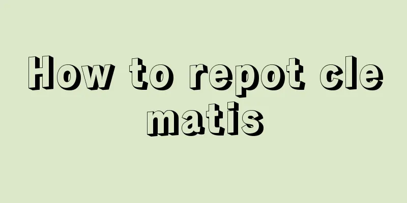 How to repot clematis