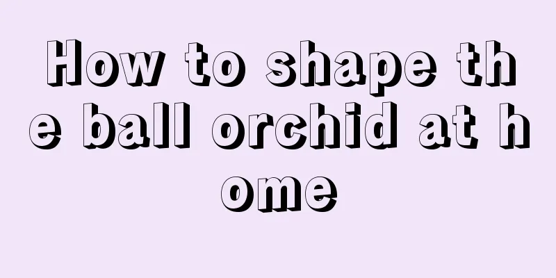 How to shape the ball orchid at home