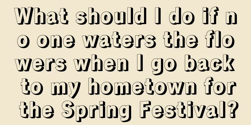 What should I do if no one waters the flowers when I go back to my hometown for the Spring Festival?