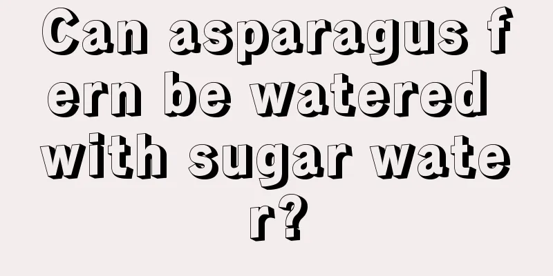 Can asparagus fern be watered with sugar water?