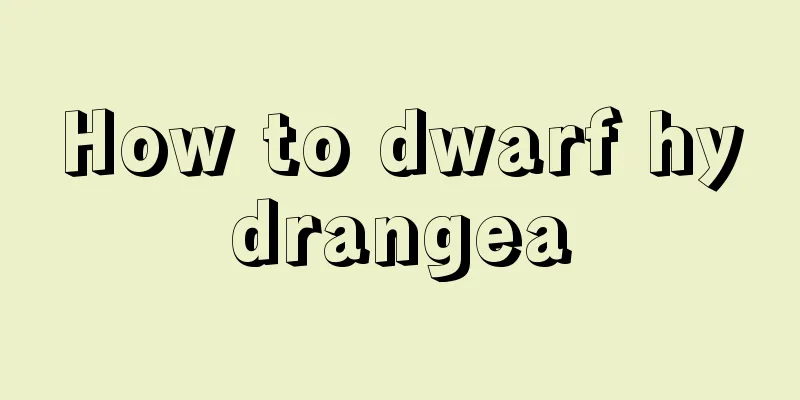 How to dwarf hydrangea