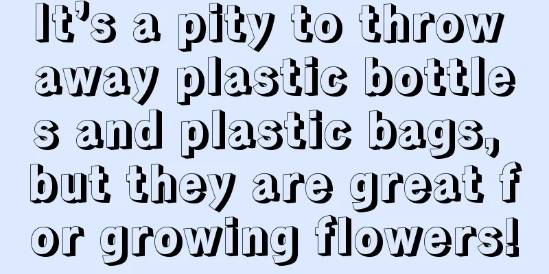 It’s a pity to throw away plastic bottles and plastic bags, but they are great for growing flowers!