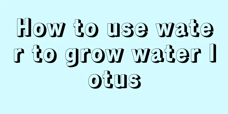 How to use water to grow water lotus