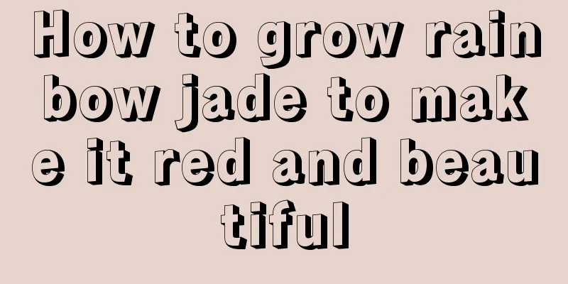 How to grow rainbow jade to make it red and beautiful