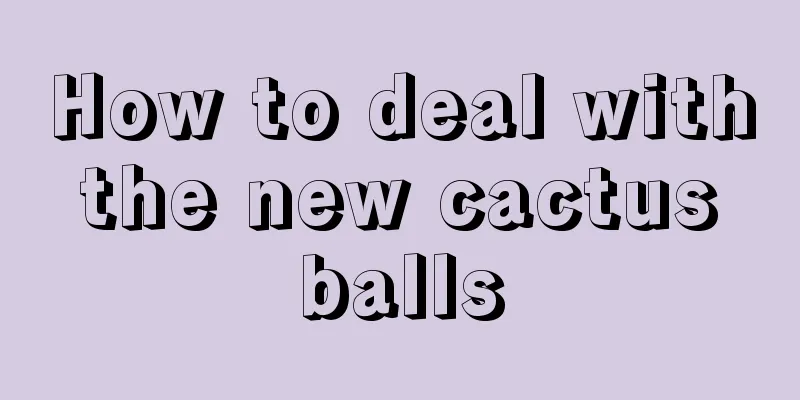 How to deal with the new cactus balls