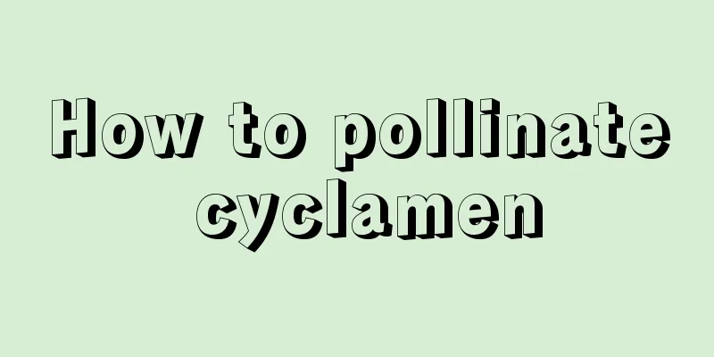 How to pollinate cyclamen