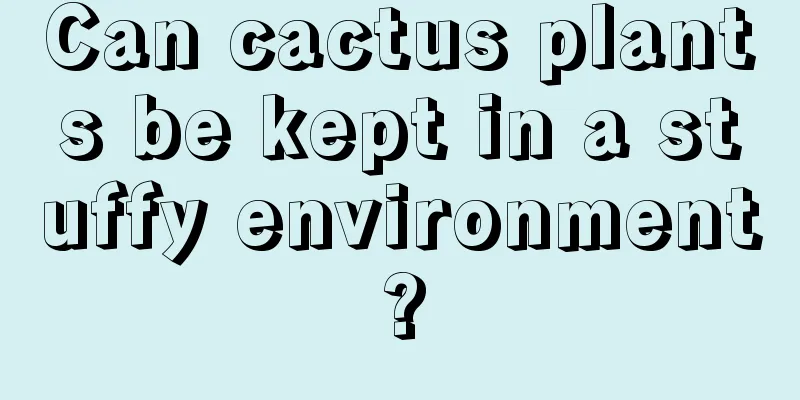 Can cactus plants be kept in a stuffy environment?