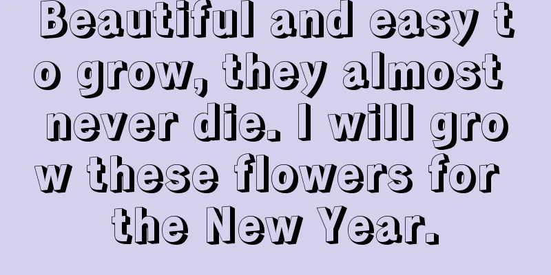 Beautiful and easy to grow, they almost never die. I will grow these flowers for the New Year.