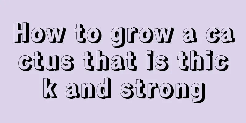 How to grow a cactus that is thick and strong