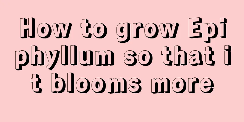 How to grow Epiphyllum so that it blooms more