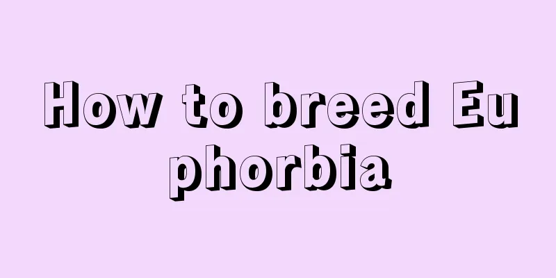 How to breed Euphorbia