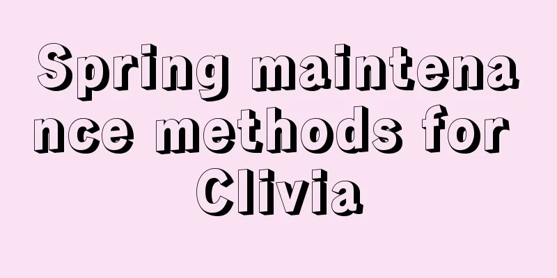 Spring maintenance methods for Clivia