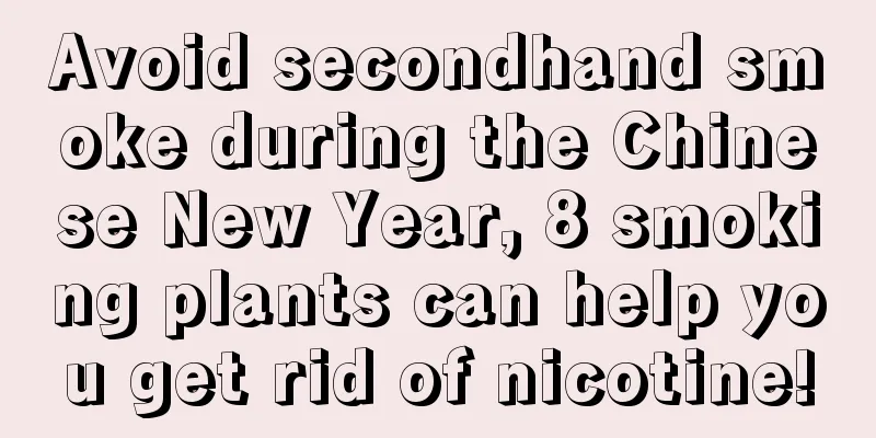 Avoid secondhand smoke during the Chinese New Year, 8 smoking plants can help you get rid of nicotine!