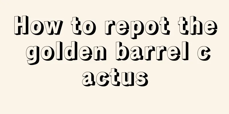 How to repot the golden barrel cactus