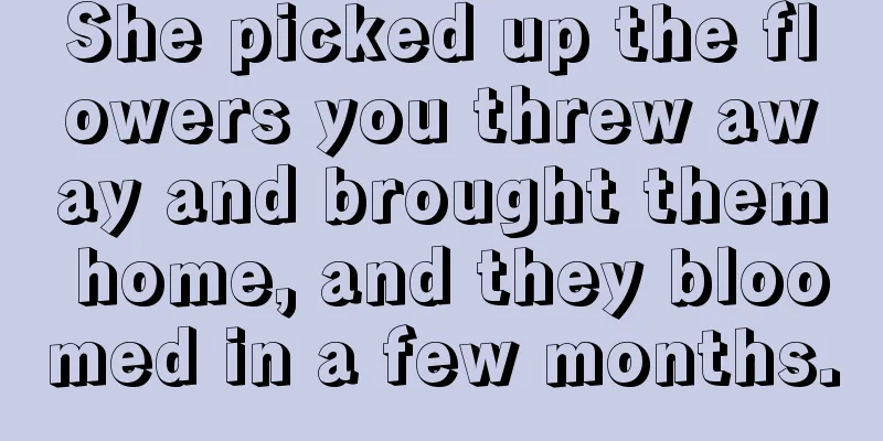 She picked up the flowers you threw away and brought them home, and they bloomed in a few months.