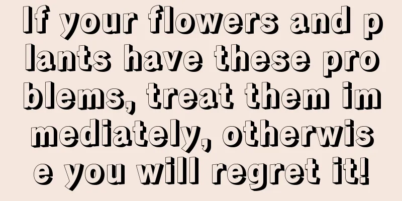 If your flowers and plants have these problems, treat them immediately, otherwise you will regret it!