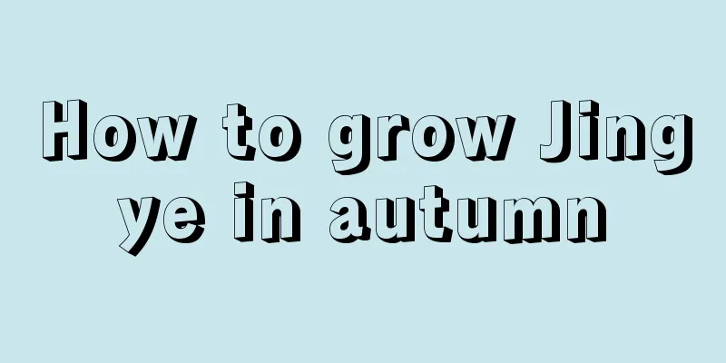 How to grow Jingye in autumn