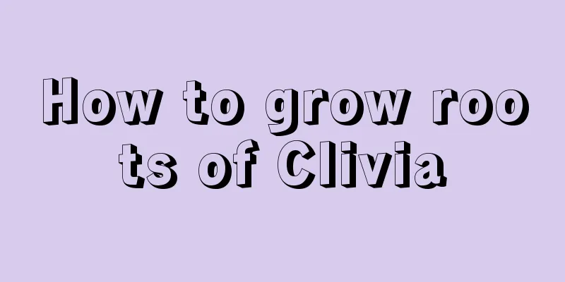 How to grow roots of Clivia