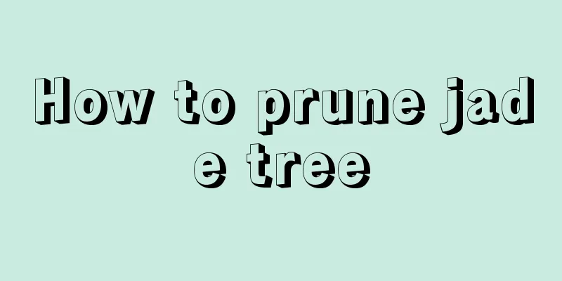 How to prune jade tree