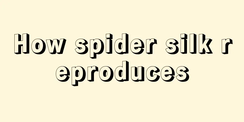 How spider silk reproduces