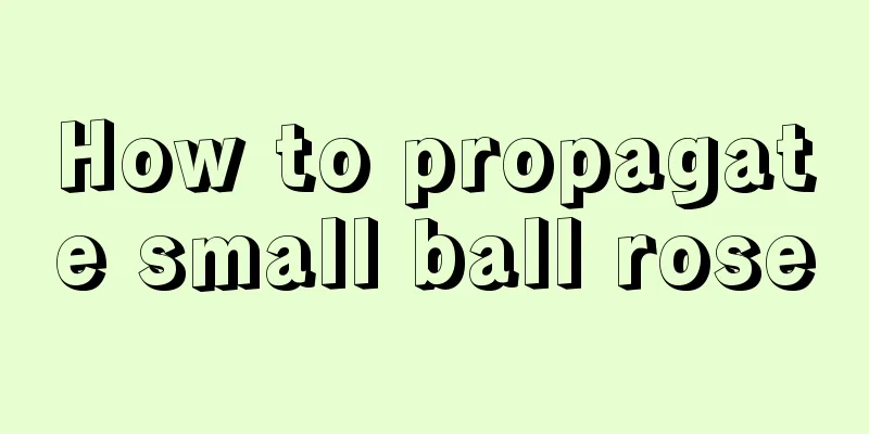 How to propagate small ball rose