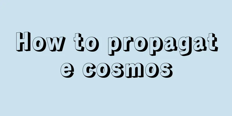 How to propagate cosmos