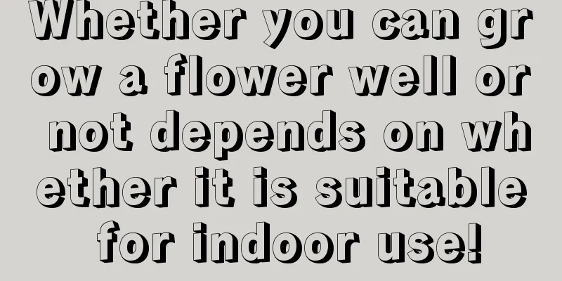 Whether you can grow a flower well or not depends on whether it is suitable for indoor use!