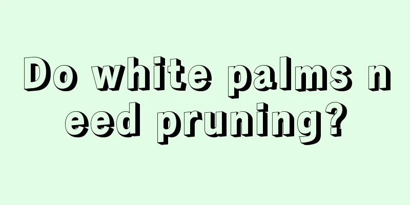 Do white palms need pruning?