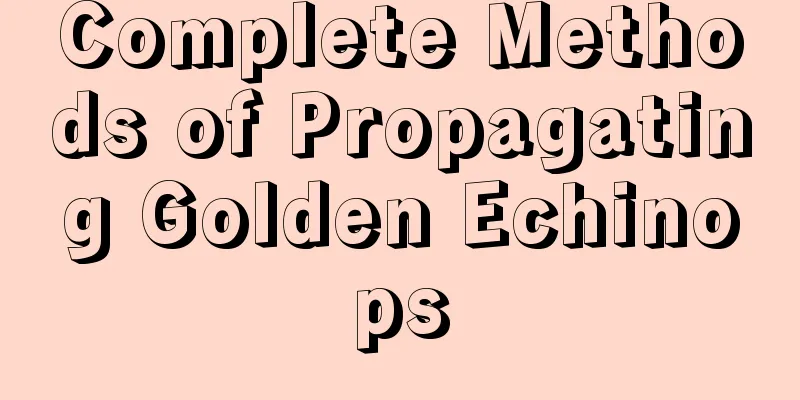 Complete Methods of Propagating Golden Echinops