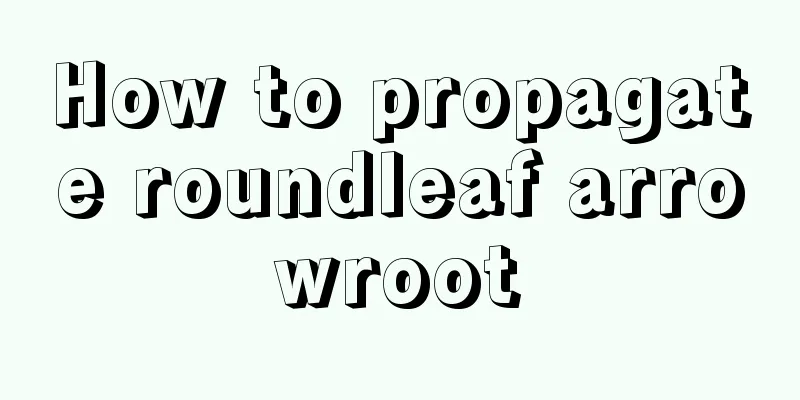 How to propagate roundleaf arrowroot