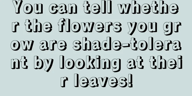 You can tell whether the flowers you grow are shade-tolerant by looking at their leaves!