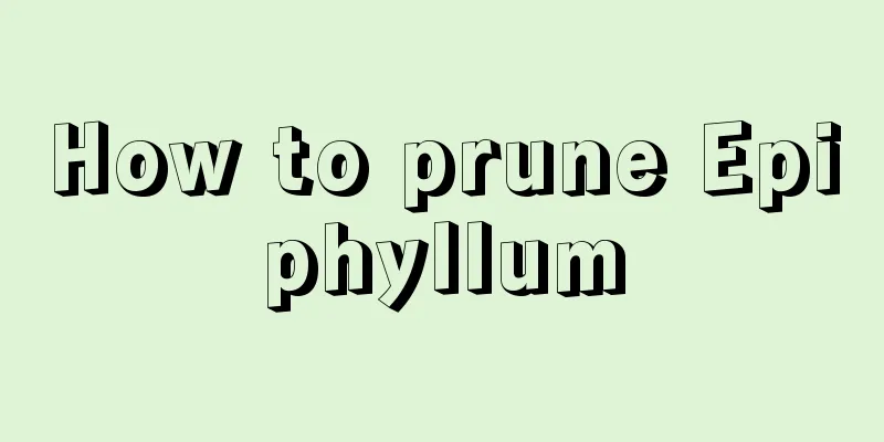 How to prune Epiphyllum