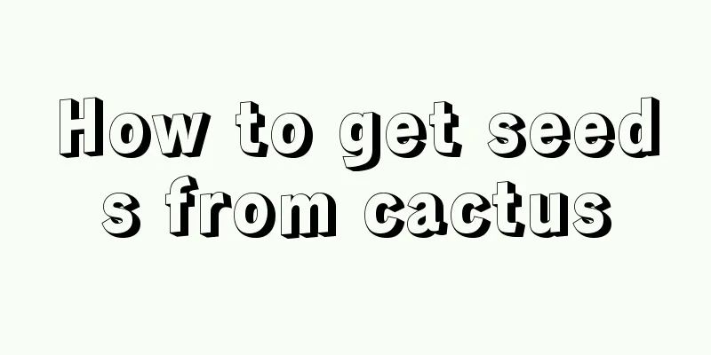 How to get seeds from cactus