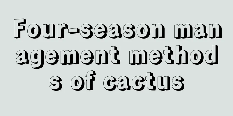 Four-season management methods of cactus