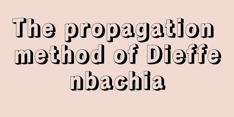 The propagation method of Dieffenbachia