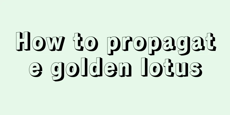 How to propagate golden lotus