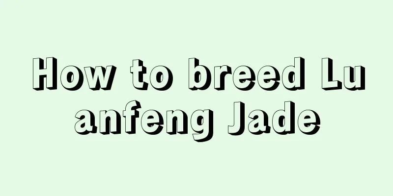 How to breed Luanfeng Jade