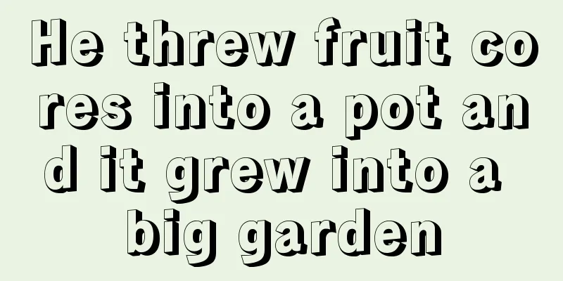 He threw fruit cores into a pot and it grew into a big garden