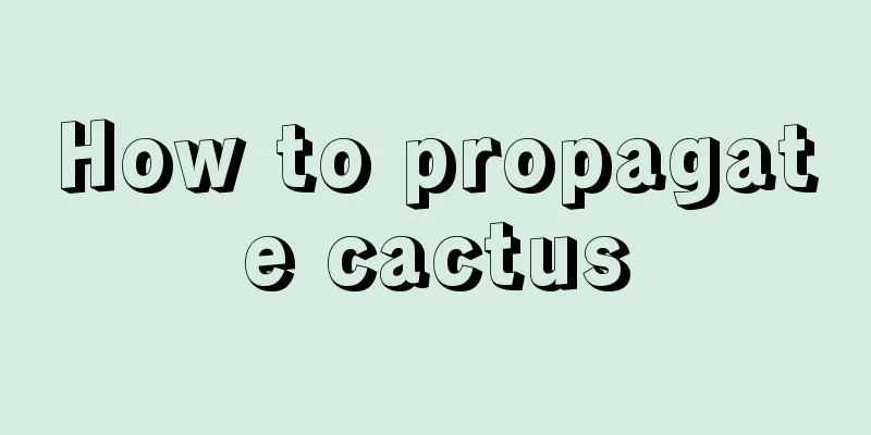 How to propagate cactus