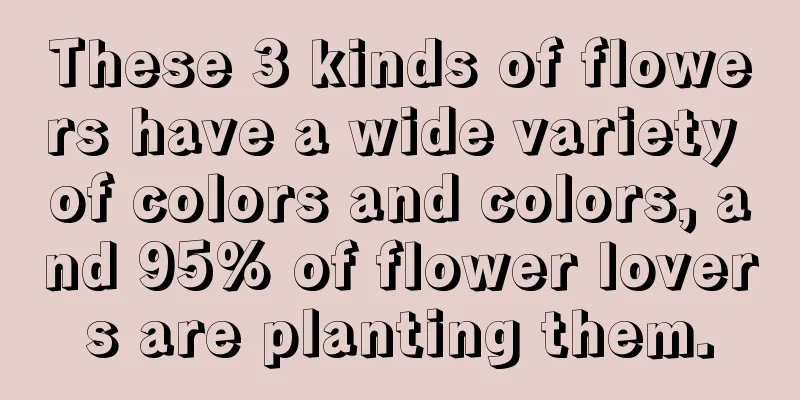 These 3 kinds of flowers have a wide variety of colors and colors, and 95% of flower lovers are planting them.