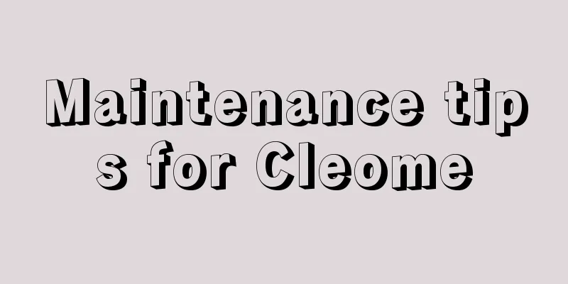 Maintenance tips for Cleome