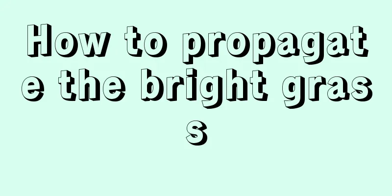 How to propagate the bright grass