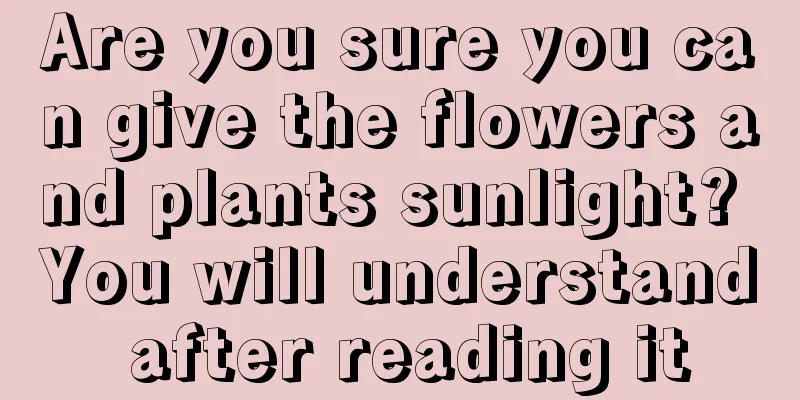 Are you sure you can give the flowers and plants sunlight? You will understand after reading it