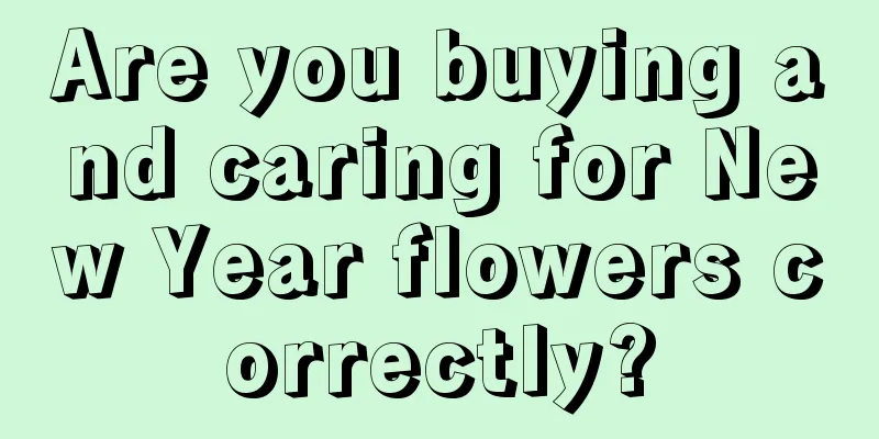 Are you buying and caring for New Year flowers correctly?