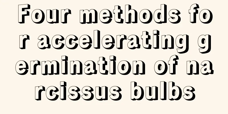 Four methods for accelerating germination of narcissus bulbs