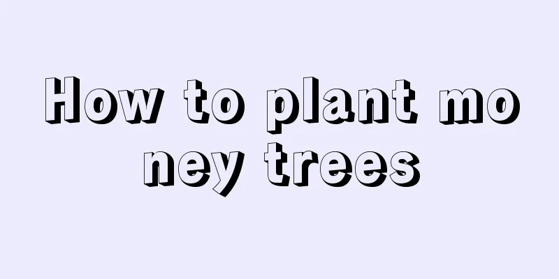 How to plant money trees