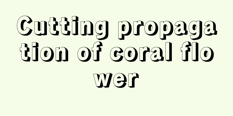 Cutting propagation of coral flower