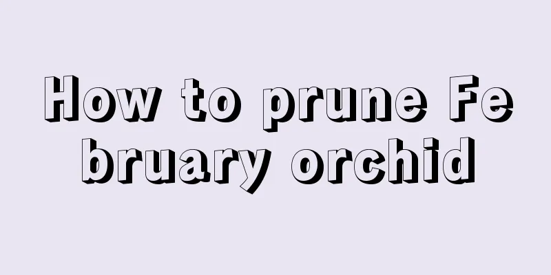 How to prune February orchid