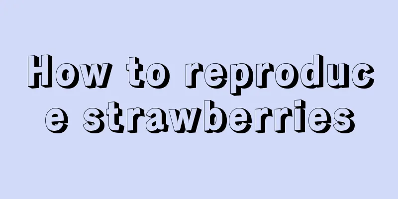 How to reproduce strawberries